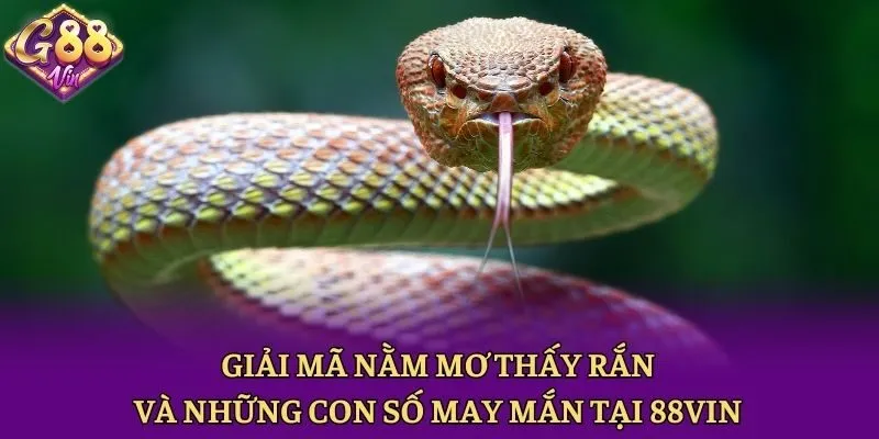 Giải Mã Nằm Mơ Thấy Rắn Và Những Con Số May Mắn Tại 88vin